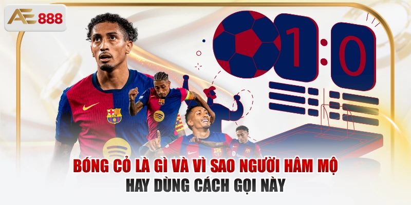 Bóng Cỏ Là Gì? Cách Hiểu Đúng Và Cách Theo Dõi Cùng AE888 Bóng cỏ là gì