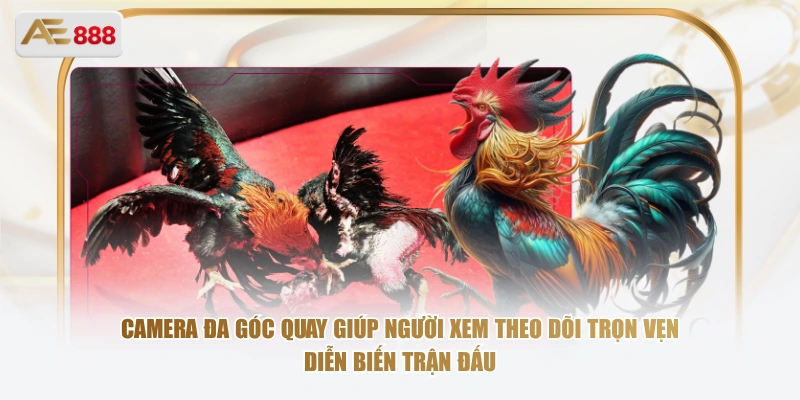Camera đa góc quay giúp người xem theo dõi trọn vẹn diễn biến trận đấu