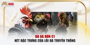 Đá gà đòn C1