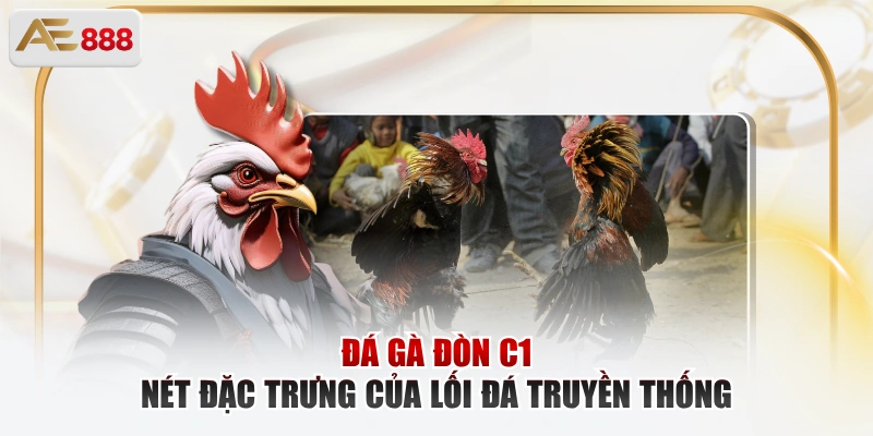 Đá gà đòn C1