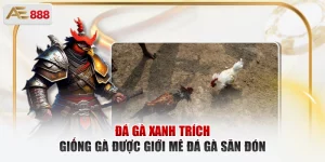 Đá gà xanh trích