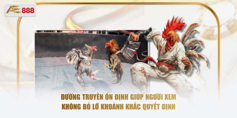 Trực Tiếp Đá Gà CPC4 – Theo Dõi Trọn Vẹn Từng Trận Đấu Đỉnh Cao Đường truyền ổn định giúp người xem không bỏ lỡ khoảnh khắc quyết định