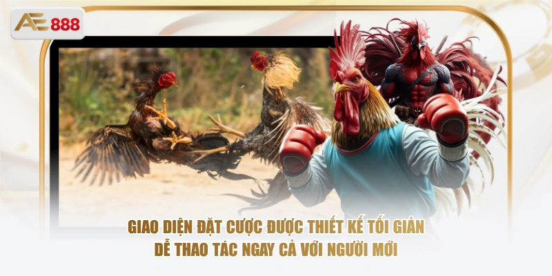 Giao diện đặt cược được thiết kế tối giản, dễ thao tác ngay cả với người mới