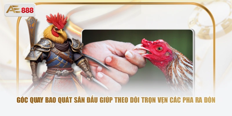 Góc quay bao quát sân đấu giúp theo dõi trọn vẹn các pha ra đòn