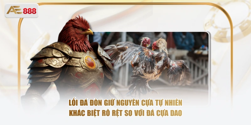 Lối đá đòn giữ nguyên cựa tự nhiên, khác biệt rõ rệt so với đá cựa dao