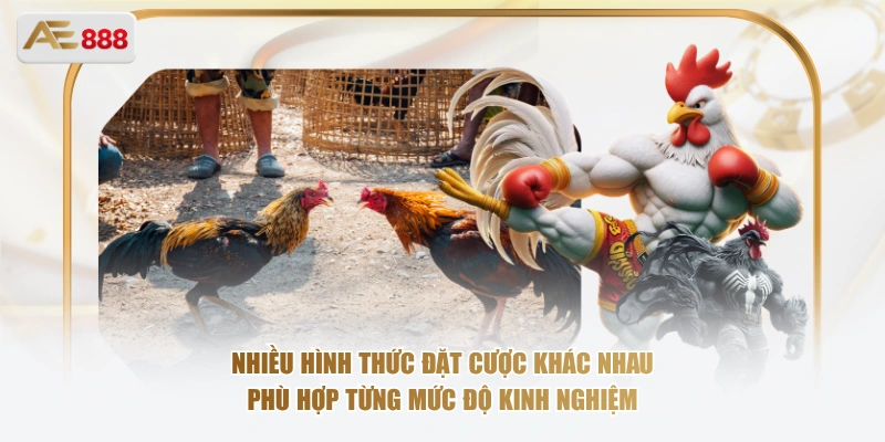 Nhiều hình thức đặt cược khác nhau phù hợp từng mức độ kinh nghiệm