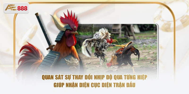Quan sát sự thay đổi nhịp độ qua từng hiệp giúp nhận diện cục diện trận đấu