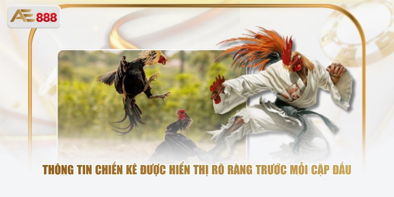 Trực Tiếp Đá Gà CPC4 – Theo Dõi Trọn Vẹn Từng Trận Đấu Đỉnh Cao Thông tin chiến kê được hiển thị rõ ràng trước mỗi cặp đấu