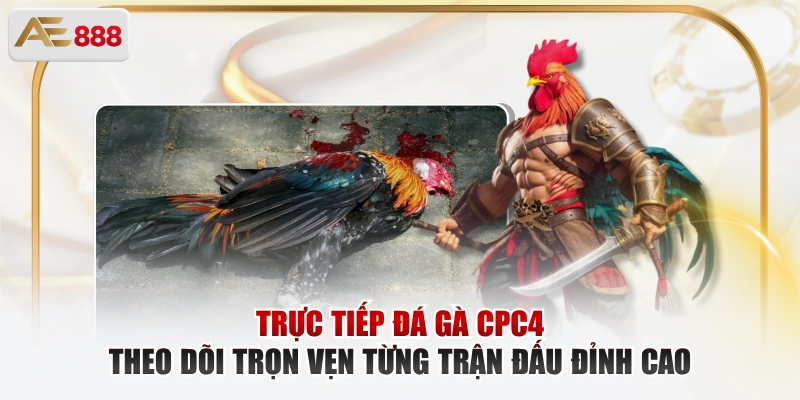 Trực Tiếp Đá Gà CPC4 – Theo Dõi Trọn Vẹn Từng Trận Đấu Đỉnh Cao Trực tiếp đá gà CPC4